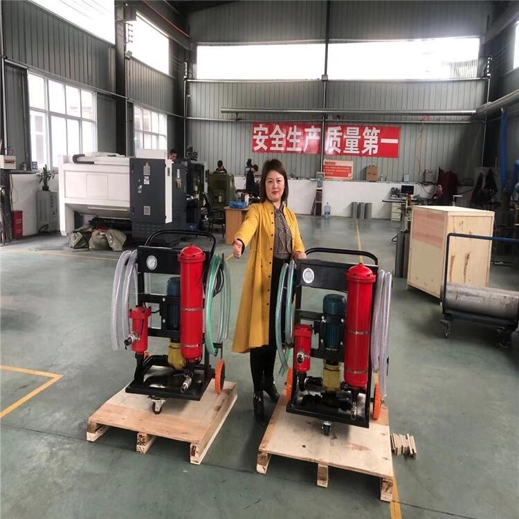 便移式濾油機(jī)lyc-50/63/80B嘉碩環(huán)保廠家直銷