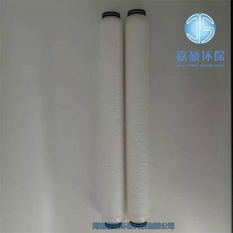 電廠發(fā)電機(jī)定子冷卻水濾芯 SGL-125/0.8